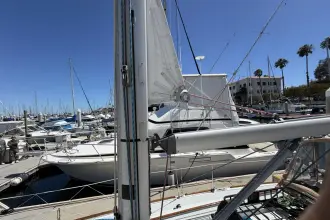 Thumbnail von Beneteau Oceanis 37 California Dream
