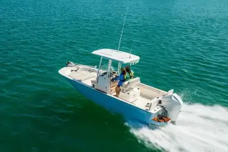Thumbnail von Boston Whaler 210 Montauk