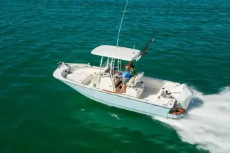 Thumbnail von Boston Whaler 210 Montauk