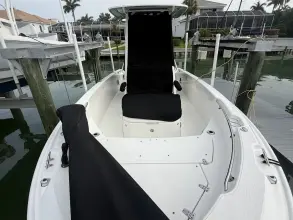 Thumbnail von Boston Whaler 220 Dauntless