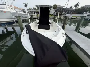 Thumbnail von Boston Whaler 220 Dauntless
