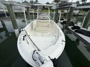 Thumbnail von Boston Whaler 220 Dauntless