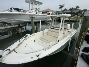 Thumbnail von Boston Whaler 220 Dauntless