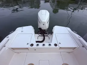 Thumbnail von Boston Whaler 220 Dauntless