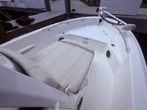 Thumbnail von Boston Whaler 220 Dauntless