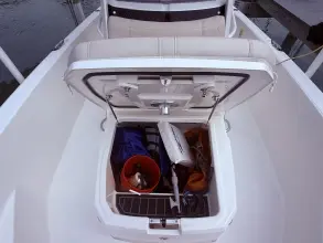 Thumbnail von Boston Whaler 220 Dauntless