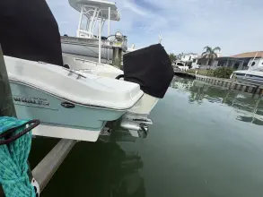 Thumbnail von Boston Whaler 220 Dauntless