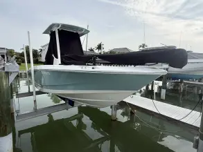 Thumbnail von Boston Whaler 220 Dauntless