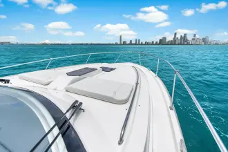 Thumbnail von Pursuit OS 405