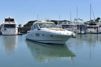 Thumbnail von Sea Ray 48 Sundancer