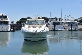 Thumbnail von Sea Ray 48 Sundancer