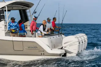 Thumbnail von Boston Whaler 405 Conquest