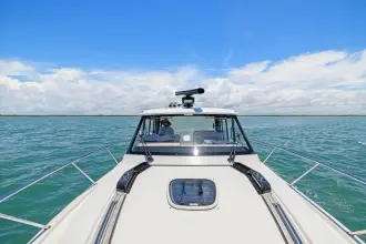 Thumbnail von Boston Whaler 365 Conquest