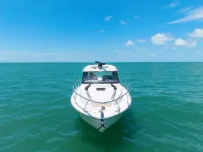 Thumbnail von Boston Whaler 365 Conquest