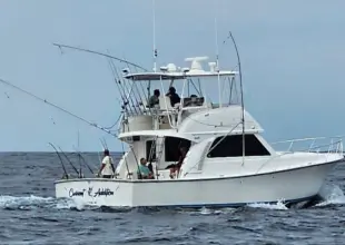 Henriques 42 Sportfisherman Текущие дополнения
