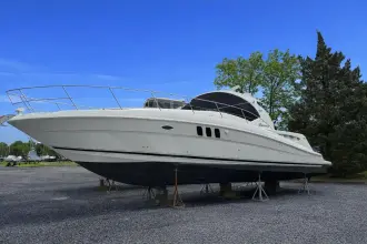Thumbnail von Sea Ray 40 Sundancer