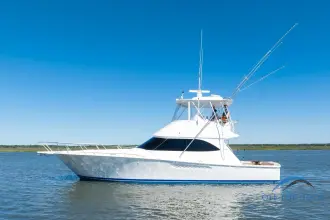 Thumbnail von Viking 46 Convertible Miss Vaeda
