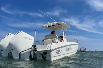 Thumbnail von Boston Whaler 270 Dauntless Bae Life