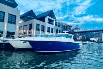 Thumbnail von Tiara Yachts 4400 Sovran