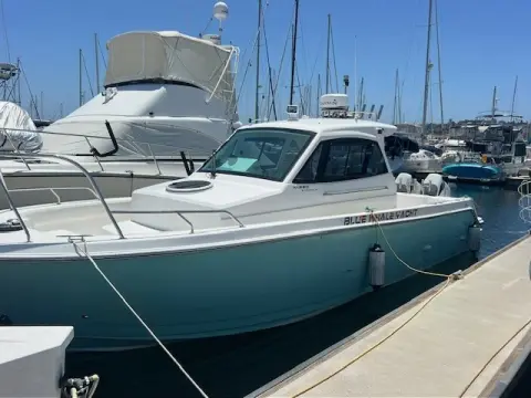 Custom Blue whale 36OB blue whale 36