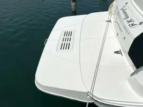 Thumbnail von Sea Ray 350 Sundancer