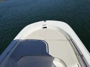 Thumbnail von Boston Whaler 190 Montauk