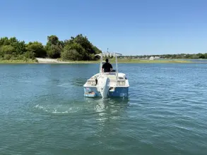 Thumbnail von Boston Whaler 190 Montauk