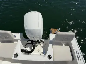 Thumbnail von Boston Whaler 190 Montauk