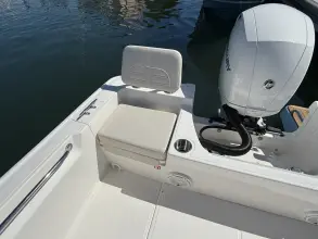 Thumbnail von Boston Whaler 190 Montauk