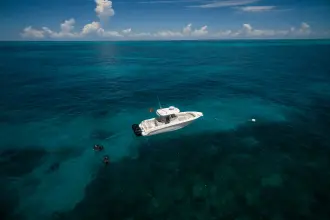 Thumbnail von Boston Whaler 280 Outrage