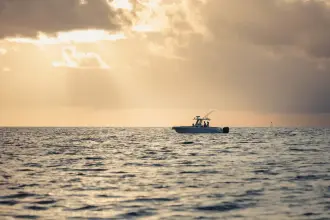 Thumbnail von Boston Whaler 280 Outrage