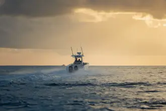 Thumbnail von Boston Whaler 280 Outrage