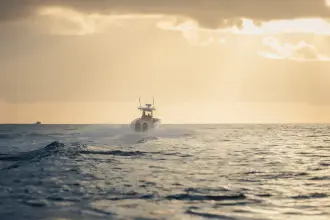 Thumbnail von Boston Whaler 280 Outrage