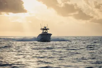 Thumbnail von Boston Whaler 280 Outrage