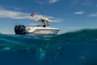Thumbnail von Boston Whaler 280 Outrage