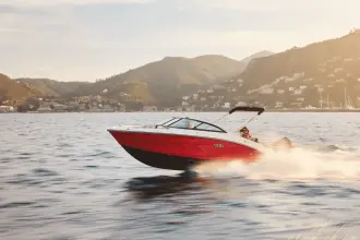 Thumbnail von Sea Ray SPX 210 Outboard