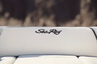 Thumbnail von Sea Ray SPX 210 Outboard