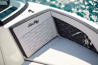 Thumbnail von Sea Ray SPX 210 Outboard