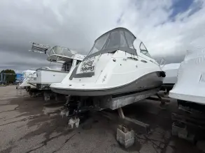 Thumbnail von Rinker 360 Express Cruiser