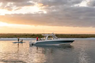 Thumbnail von Boston Whaler 380 Realm
