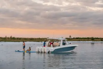 Thumbnail von Boston Whaler 380 Realm