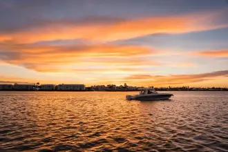 Thumbnail von Boston Whaler 380 Realm