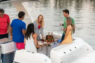 Thumbnail von Boston Whaler 380 Realm