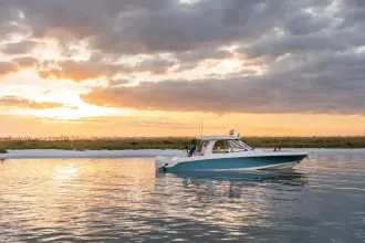Thumbnail von Boston Whaler 380 Realm