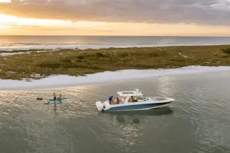 Thumbnail von Boston Whaler 380 Realm