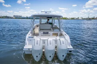 Thumbnail von Boston Whaler 350 Realm