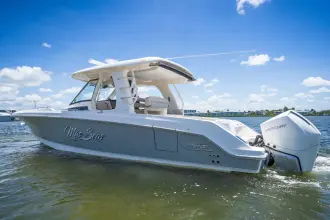 Thumbnail von Boston Whaler 350 Realm