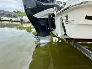 Thumbnail von Boston Whaler 280 Outrage
