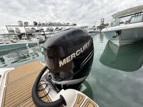 Thumbnail von Sea Ray SDX 270 Outboard