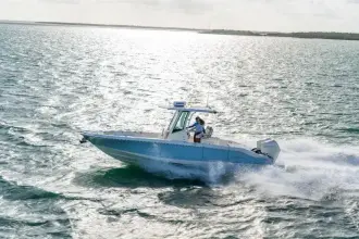 Thumbnail von Boston Whaler 280 Dauntless